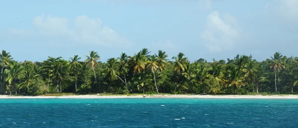ドミニカ共和国の白いビーチ カリブ海の端に隣接するジャングル — ストック写真