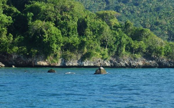Λευκές Παραλίες Της Δομινικανική Δημοκρατία Ζούγκλα Δίπλα Στην Άκρη Της — Φωτογραφία Αρχείου