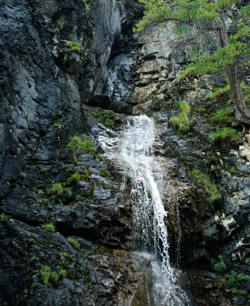 Small Waterfall Mountains — Stock Photo, Image