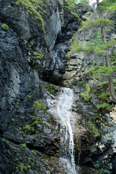 Dağlarda Küçük Bir Şelale — Stok fotoğraf