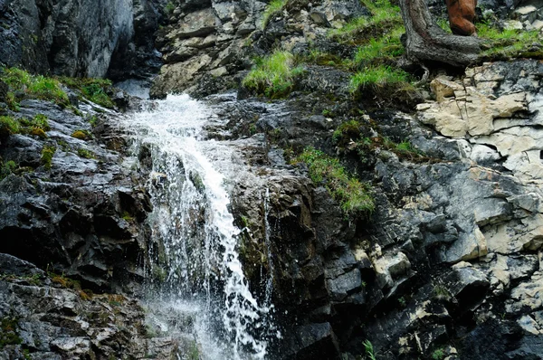 Dağlarda Küçük Bir Şelale — Stok fotoğraf