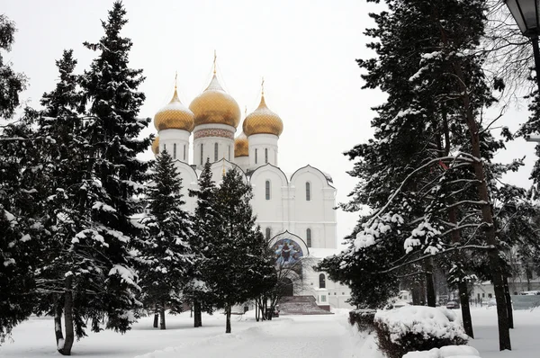 Rus Ortodoks Kilisesi, kış görünümü