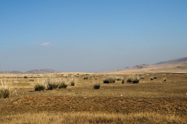 dağların ve ağaçların güzel görünümü 