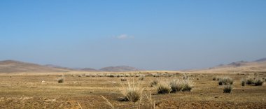 alan ve mavi gökyüzü güzel bir gün görünümü