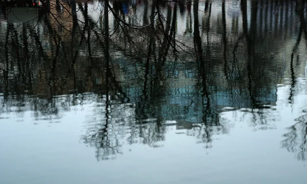 Suya Yansıyan Ağaçların Görünümü — Stok fotoğraf
