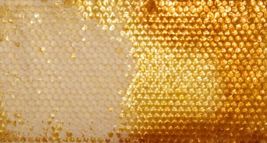 Petek Bal ile. doğal arka plan