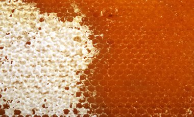 Petek Bal ile. doğal arka plan