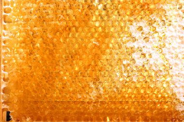 Petek Bal ile. doğal arka plan