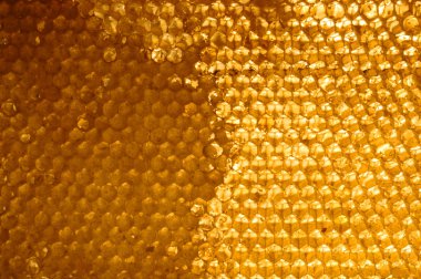 Petek Bal ile. doğal arka plan