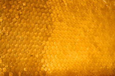 Petek Bal ile. doğal arka plan