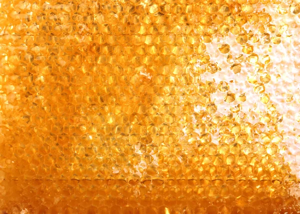 Panal de miel con miel. Fondo natural — Foto de Stock