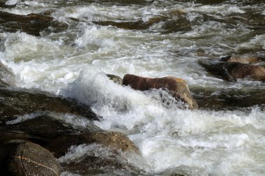 Bir dağ nehir hızlı akışı. Kısmen renkli fotoğraf.