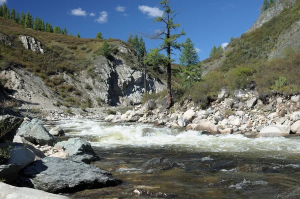 El rápido flujo de un río de montaña. Foto parcialmente teñida . —  Fotos de Stock