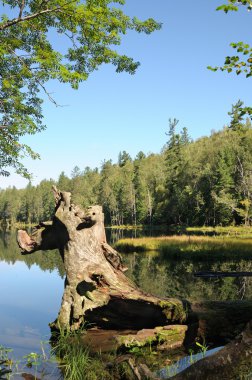Bir orman göl temiz su gök, dağ, orman ve bulutlar yansıtır. Kısmen renkli fotoğraf.