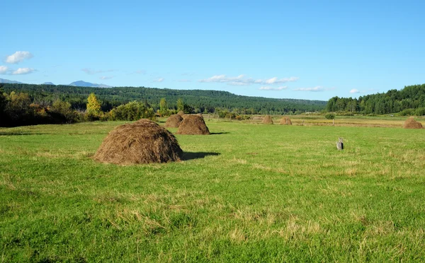 Az utolsó nyári napok. Mezőgazdasági táj. A határ a mezők takarított gabonatermés között. Kék ég, cumulus felhők. Hegyek, a horizonton. Részlegesen színezett fénykép. — Stock Fotó