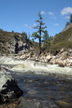 Bir dağ nehir hızlı akışı. Kısmen renkli fotoğraf.