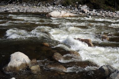 Bir dağ nehir hızlı akışı. Kısmen renkli fotoğraf.