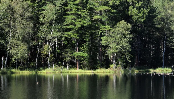 I det klara vattnet i en skogssjö speglar himlen, berg, skog och moln. Foto delvis tonade. — Stockfoto