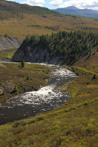 Natur Landschaft Hintergrund Mit Fluss — Stockfoto