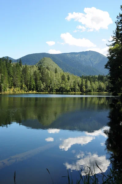 En el agua clara de un lago forestal refleja el cielo, la montaña, el bosque y las nubes. Foto parcialmente teñida . — Foto de Stock