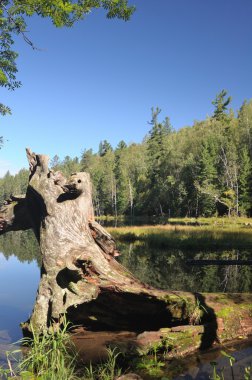 Bir orman göl temiz su gök, dağ, orman ve bulutlar yansıtır. Kısmen renkli fotoğraf.