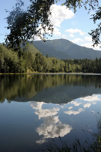 En el agua clara de un lago forestal refleja el cielo, la montaña, el bosque y las nubes. Foto parcialmente teñida . — Foto de Stock