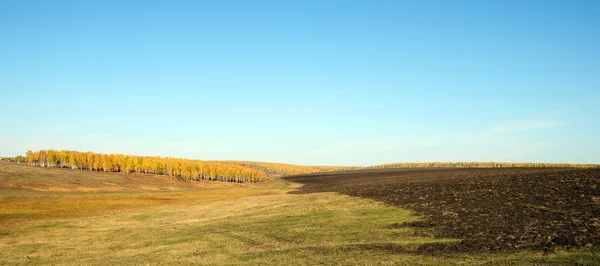 View Hill Autumn Forest — Stock Photo, Image