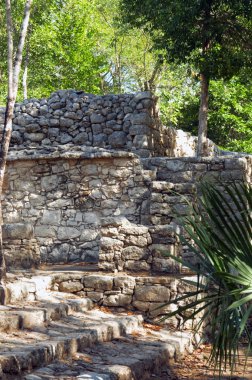 Ormanlarda, Maya piramit.