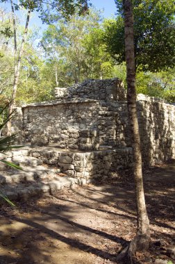 Ormanlarda, Maya piramit.