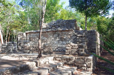 Ormanlarda, Maya piramit.