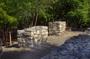 Ormanlarda, Maya piramit.