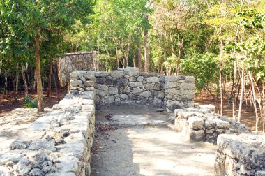 Ormanlarda, Maya piramit