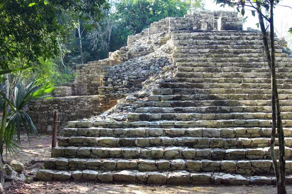 Maya pyramid på djungler. — Stockfoto