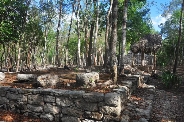 Coba Mayan Ruins — Stock Photo, Image