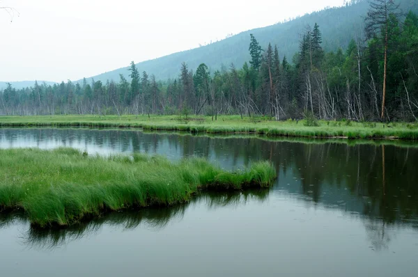 Misty morning on the lake. early summer morning. drizzling rain. forest on the lake. photo toned — Stock Photo, Image