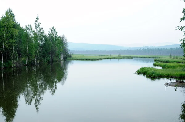 En tåget morgen på søen. tidlig sommermorgen. dryppende regn. skov på søen. foto tonet - Stock-foto