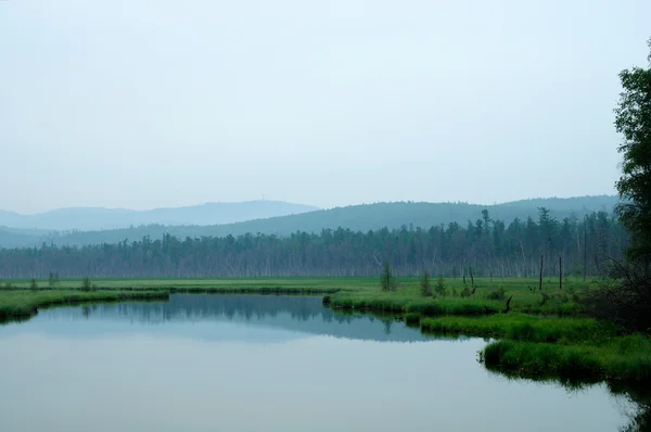 湖上有雾的早晨。夏天清晨。蒙蒙细雨。湖上的森林。定了调子的照片 — 图库照片