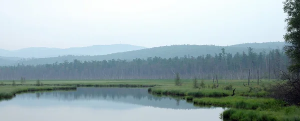 湖上有雾的早晨。夏天清晨。蒙蒙细雨。湖上的森林。定了调子的照片 — 图库照片