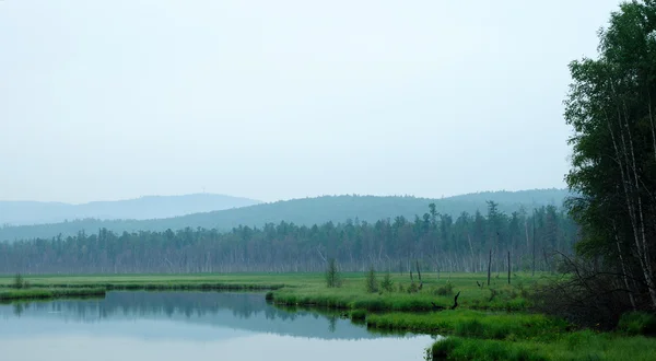 Nebliger Morgen auf dem See. Frühsommermorgen. Nieselregen. Wald am See. Foto abgeschwächt — Stockfoto