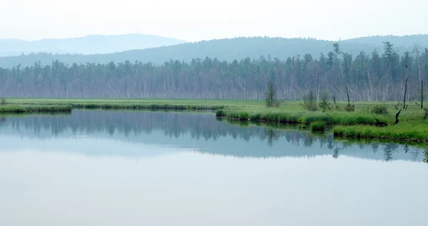 Misty morning on the lake. early summer morning. drizzling rain. forest on the lake. photo toned — Stock Photo, Image