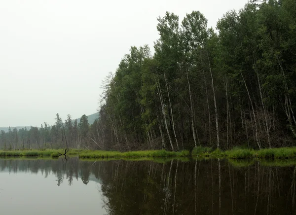 湖上有雾的早晨。夏天清晨。蒙蒙细雨。湖上的森林。定了调子的照片 — 图库照片