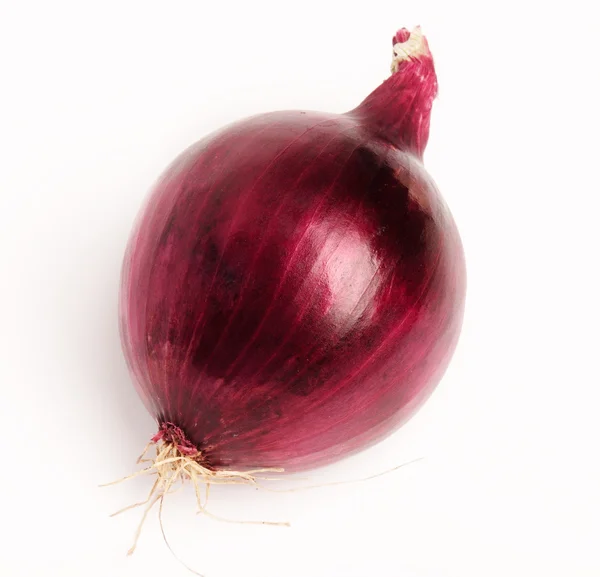 Cebolla roja sobre fondo blanco — Foto de Stock