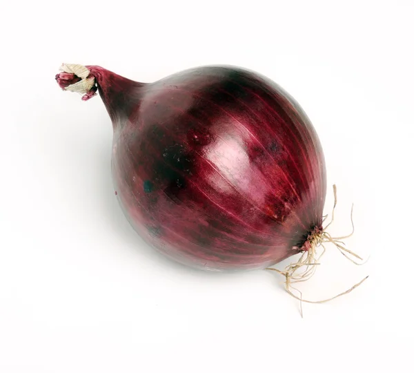 Cebolla roja sobre fondo blanco — Foto de Stock