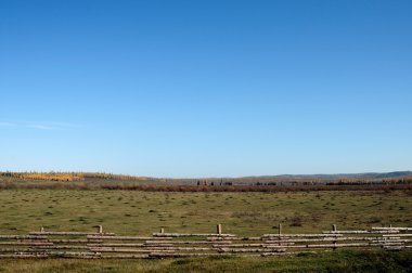 büyük steppes.melancholic sonbahar manzara üzerinde mavi gökyüzü. Çim mowed alanıyla. tonda fotoğraf