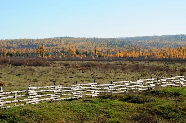 Ciel bleu sur les vastes steppes.mélancolique paysage d'automne. champ avec herbe tondue. photo tonique — Photo