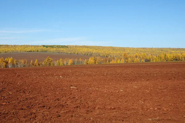 Ciel bleu sur les vastes steppes.mélancolique paysage d'automne. champ avec herbe fauchée.Champ labouré. photo tonique — Photo