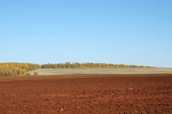 Ciel bleu sur les vastes steppes.mélancolique paysage d'automne. champ avec herbe fauchée.Champ labouré. photo tonique — Photo