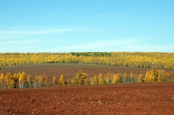 Kék ég alatt a hatalmas steppes.melancholic őszi táj. mező kaszált fű. Felszántott mező. tónusú fénykép — Stock Fotó