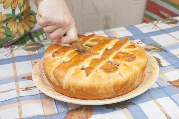 Разрезание вкусного пирога с начинкой на тарелке — стоковое фото