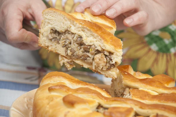 Taglio torta saporita con ripieno sul piatto — Foto Stock